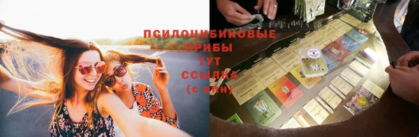 винт Зеленокумск