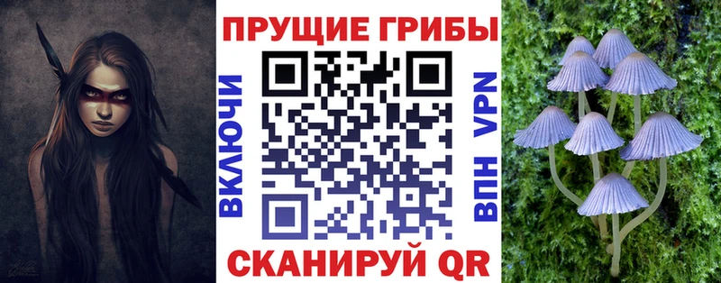 Купить  Елабуга  Псилоцибиновые грибы мицелий 
